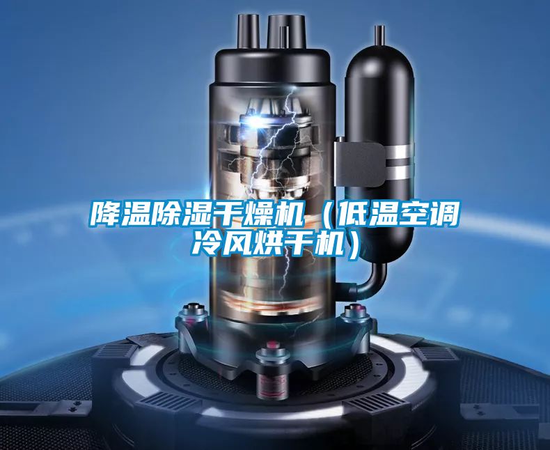 降溫除濕干燥機(低溫空調冷風烘干機)