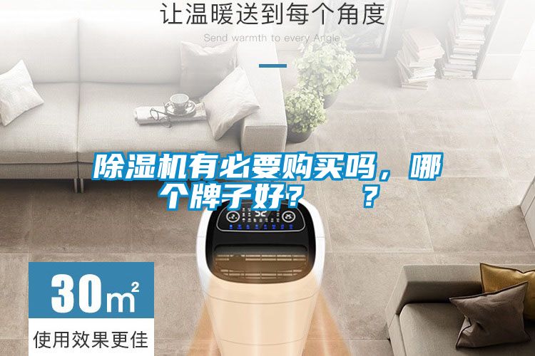 除濕機有必要購買嗎,哪個牌子好?  ?