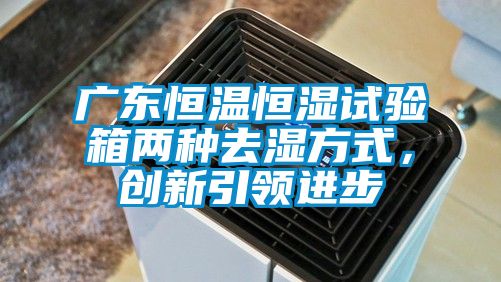 廣東恒溫恒濕試驗(yàn)箱兩種去濕方式,創(chuàng)新引領(lǐng)進(jìn)步