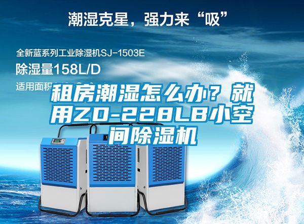 租房潮濕怎么辦?就用ZD-228LB小空間除濕機(jī)