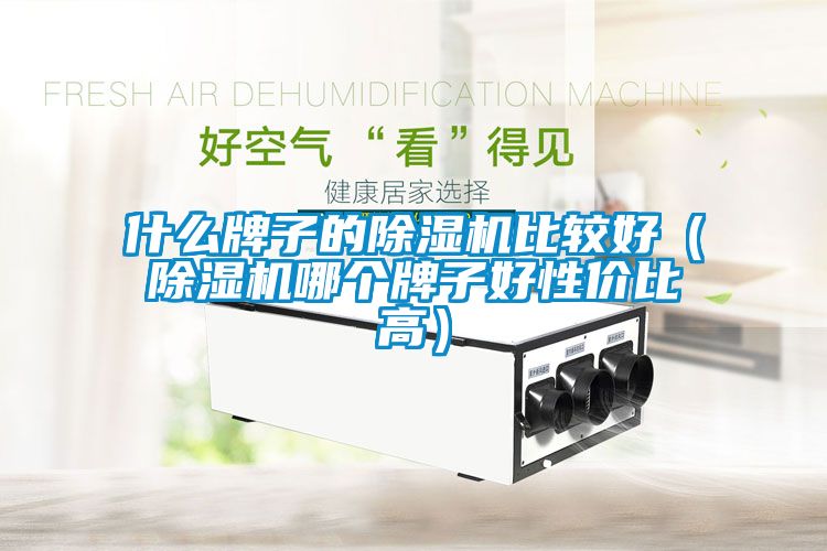 什么牌子的除濕機比較好(除濕機哪個牌子好性價比高)
