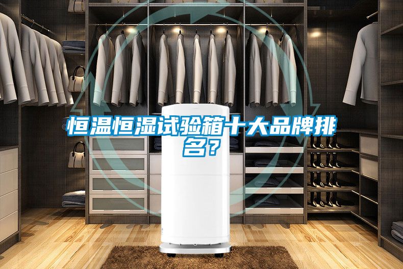 恒溫恒濕試驗(yàn)箱十大品牌排名?