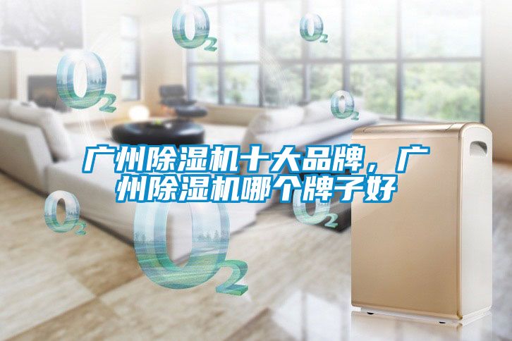 廣州除濕機十大品牌,廣州除濕機哪個牌子好
