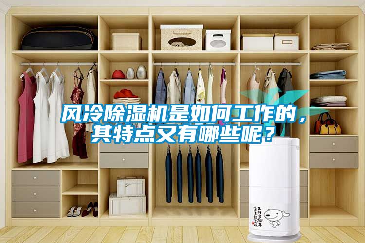風冷除濕機是如何工作的,其特點又有哪些呢?