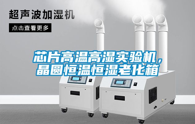 芯片高溫高濕實驗機,晶圓恒溫恒濕老化箱