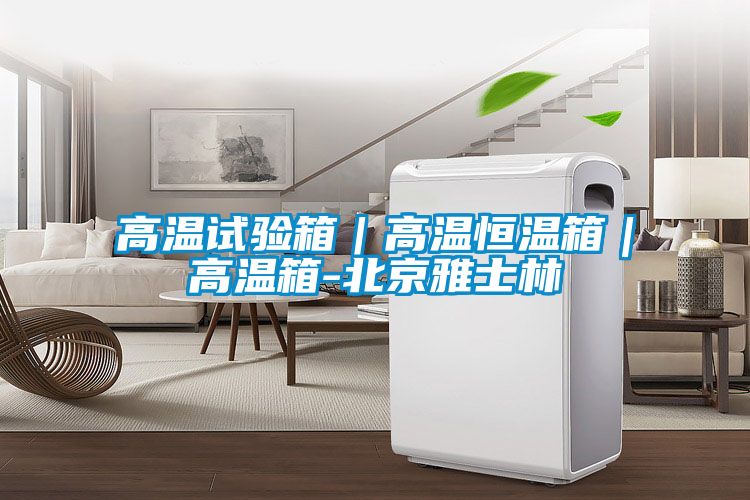 高溫試驗(yàn)箱|高溫恒溫箱|高溫箱-北京雅士林