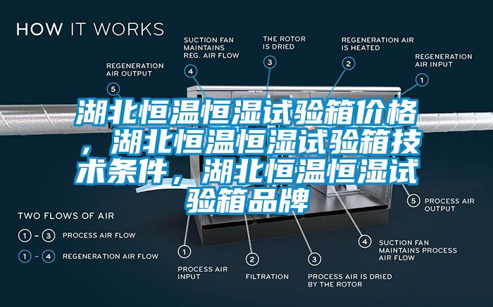 湖北恒溫恒濕試驗箱價格,湖北恒溫恒濕試驗箱技術條件,湖北恒溫恒濕試驗箱品牌