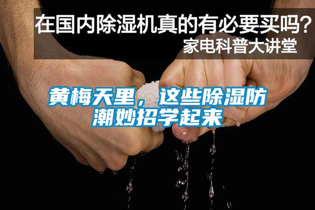 黃梅天里，這些除濕防潮妙招學起來