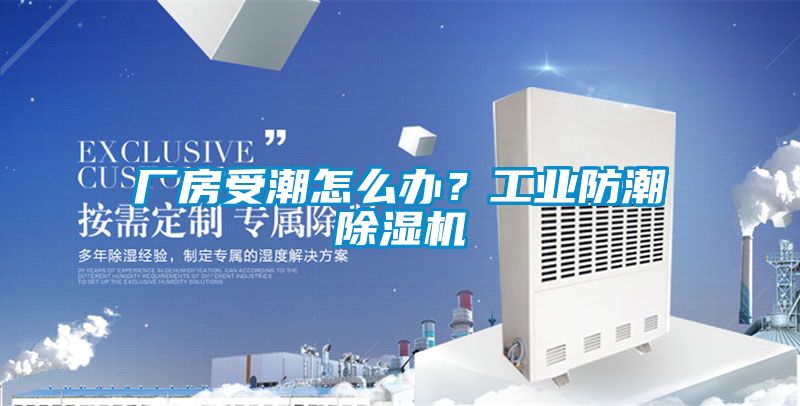 廠房受潮怎么辦？工業防潮除濕機