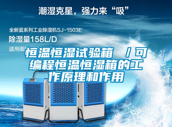 恒溫恒濕試驗箱 /可編程恒溫恒濕箱的工作原理和作用