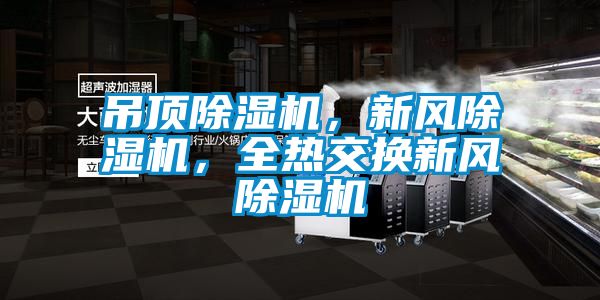 吊頂除濕機(jī),新風(fēng)除濕機(jī),全熱交換新風(fēng)除濕機(jī)