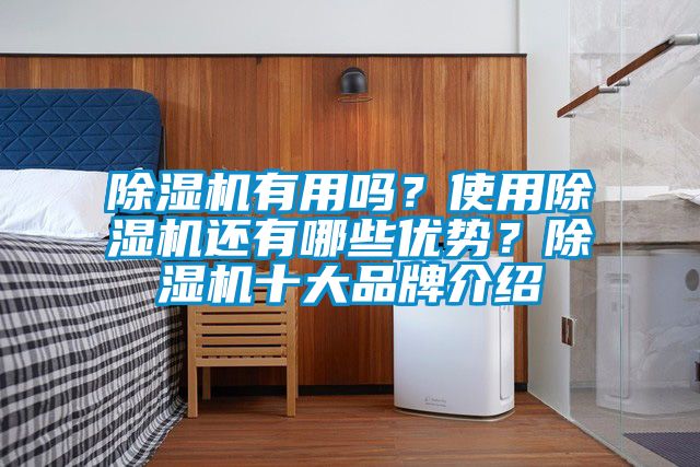 除濕機有用嗎?使用除濕機還有哪些優勢?除濕機十大品牌介紹