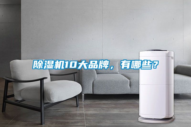 除濕機(jī)10大品牌,有哪些?