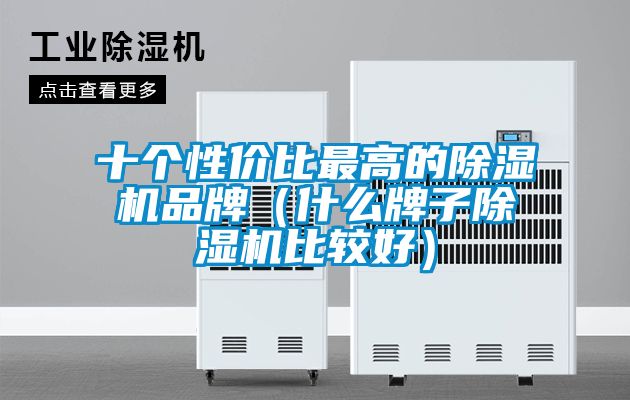 十個性價比最高的除濕機品牌(什么牌子除濕機比較好)