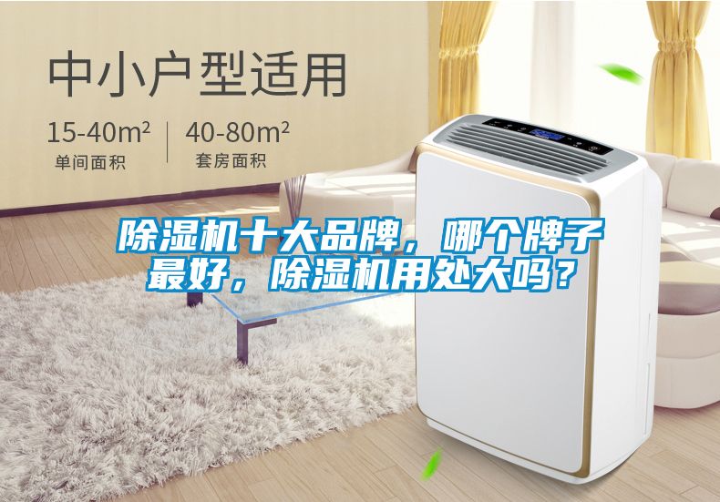 除濕機十大品牌,哪個牌子最好,除濕機用處大嗎?