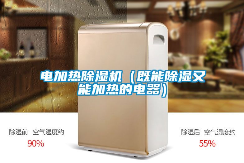 電加熱除濕機(既能除濕又能加熱的電器)