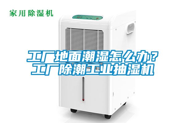工廠地面潮濕怎么辦?工廠除潮工業抽濕機