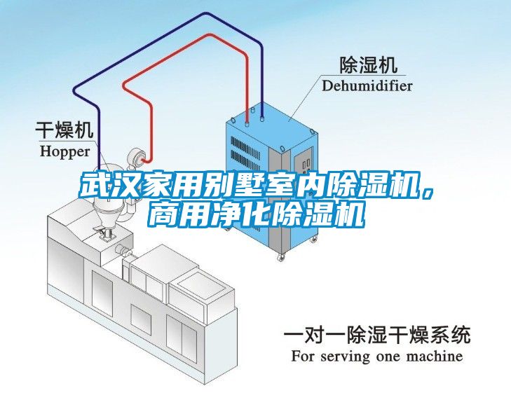 武漢家用別墅室內除濕機，商用凈化除濕機