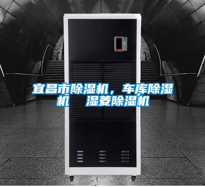 宜昌市除濕機,車庫除濕機  濕菱除濕機