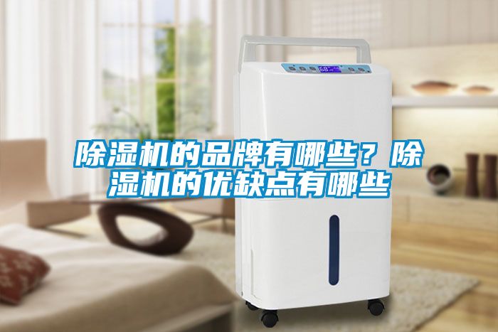 除濕機的品牌有哪些？除濕機的優缺點有哪些