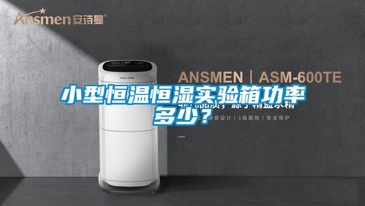 小型恒溫恒濕實驗箱功率多少?