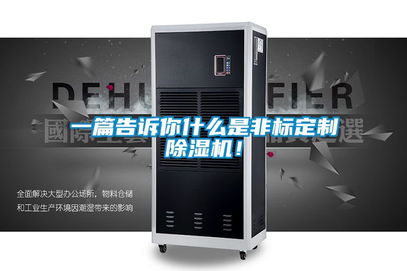 一篇告訴你什么是非標定制除濕機!