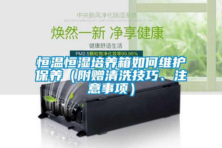 恒溫恒濕培養箱如何維護保養(附贈清洗技巧、注意事項)