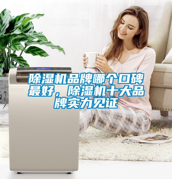除濕機(jī)品牌哪個(gè)口碑最好，除濕機(jī)十大品牌實(shí)力見證