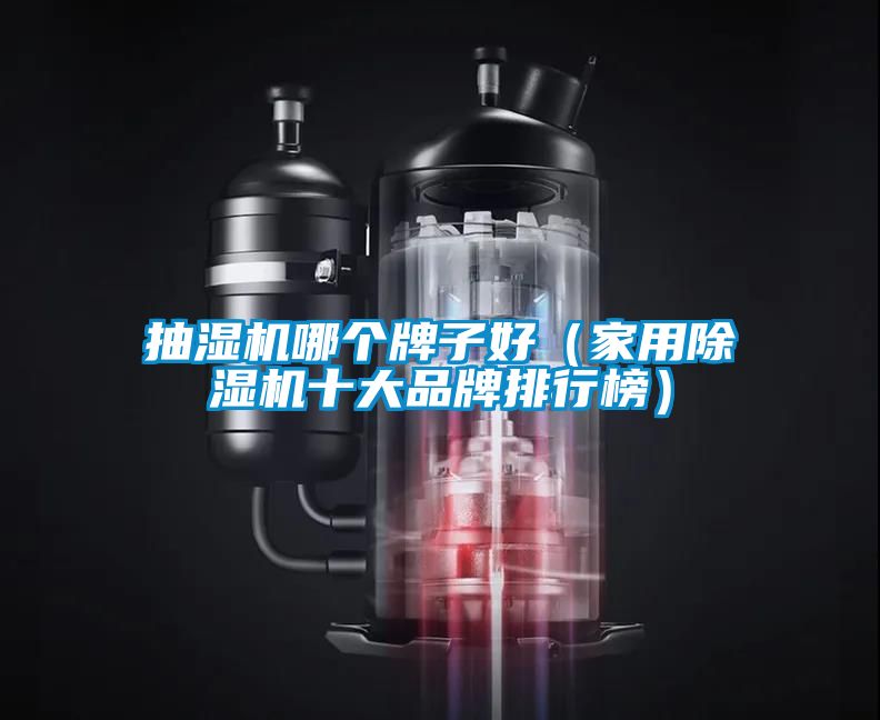 抽濕機哪個牌子好(家用除濕機十大品牌排行榜)