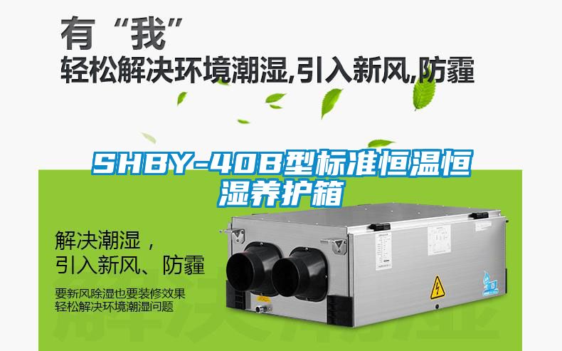 SHBY-40B型標(biāo)準(zhǔn)恒溫恒濕養(yǎng)護箱