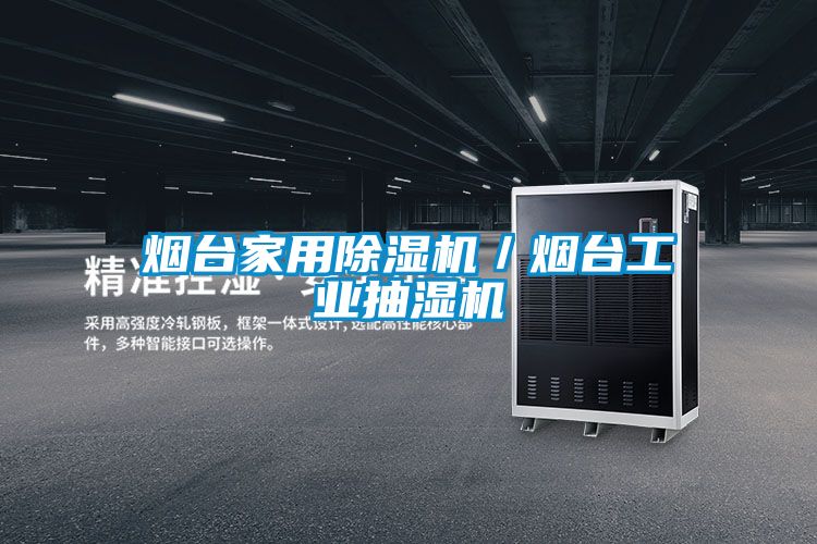 煙臺(tái)家用除濕機(jī)/煙臺(tái)工業(yè)抽濕機(jī)