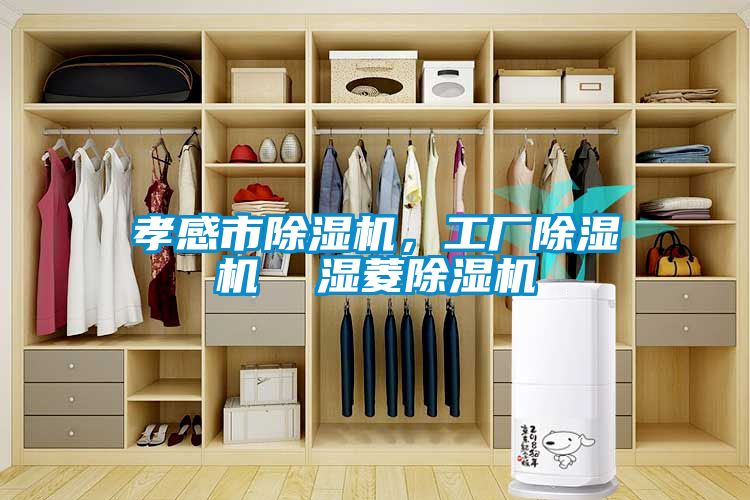 孝感市除濕機(jī)，工廠除濕機(jī)  濕菱除濕機(jī)