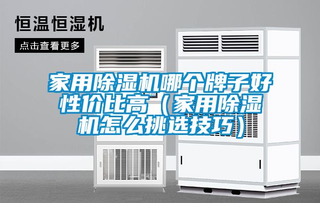 家用除濕機哪個牌子好性價比高(家用除濕機怎么挑選技巧)