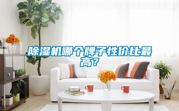 除濕機哪個牌子性價比最高?