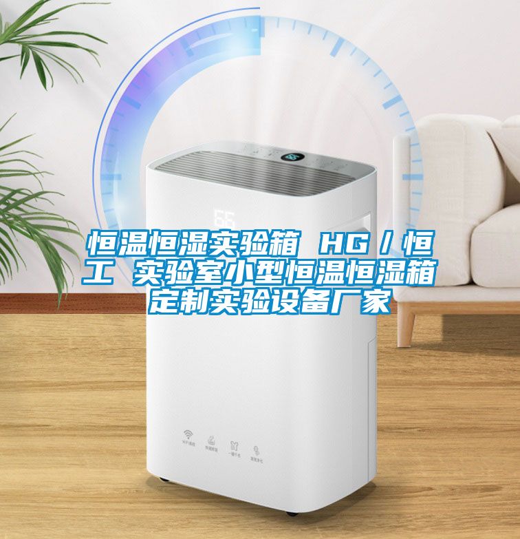 恒溫恒濕實驗箱 HG/恒工 實驗室小型恒溫恒濕箱 定制實驗設(shè)備廠家