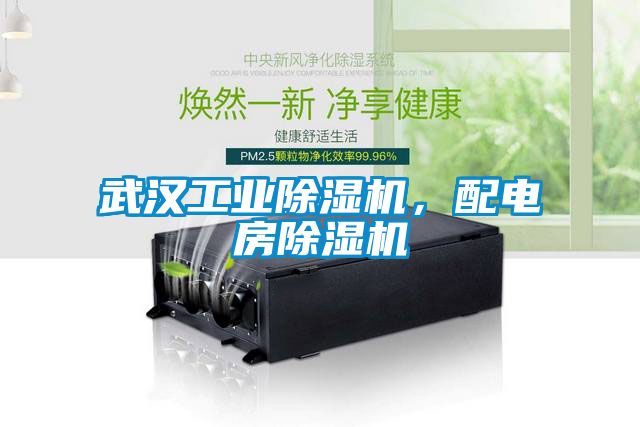 武漢工業除濕機,配電房除濕機