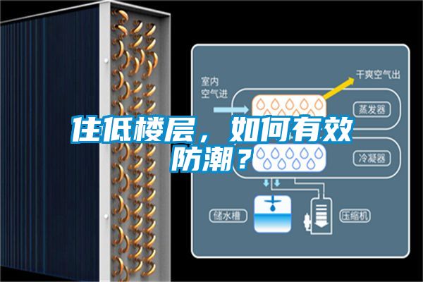 住低樓層，如何有效防潮？