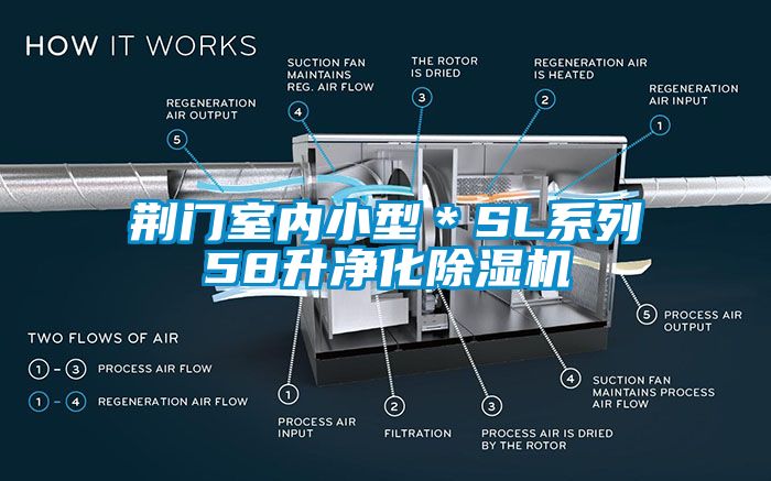 荊門室內小型*SL系列58升凈化除濕機