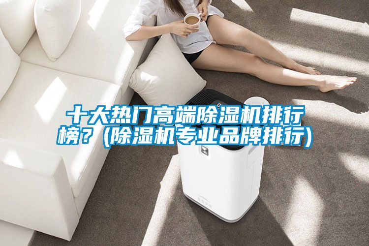 十大熱門高端除濕機排行榜?(除濕機專業品牌排行)