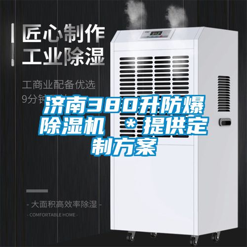 濟南380升防爆除濕機 *提供定制方案