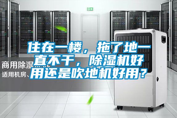 住在一樓，拖了地一直不干，除濕機好用還是吹地機好用？