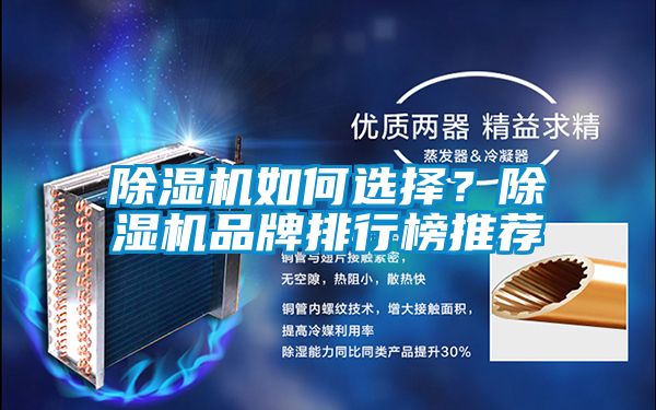除濕機(jī)如何選擇?除濕機(jī)品牌排行榜推薦