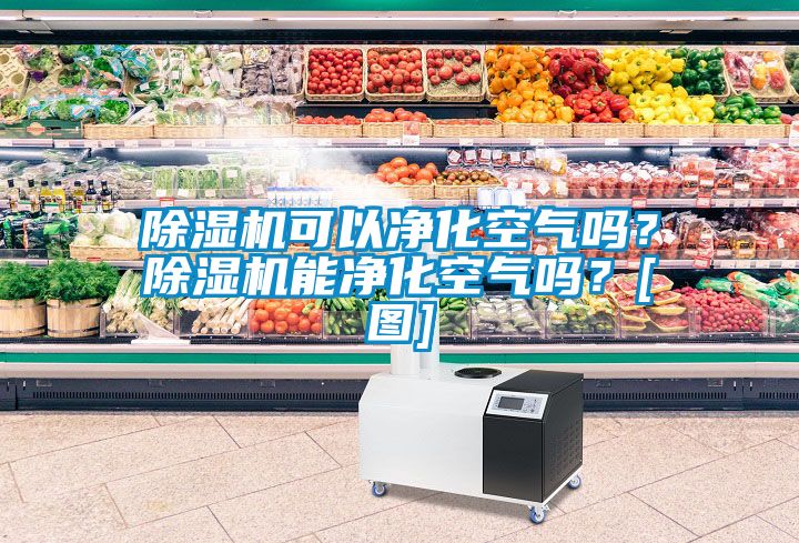 除濕機可以凈化空氣嗎？除濕機能凈化空氣嗎？[圖]
