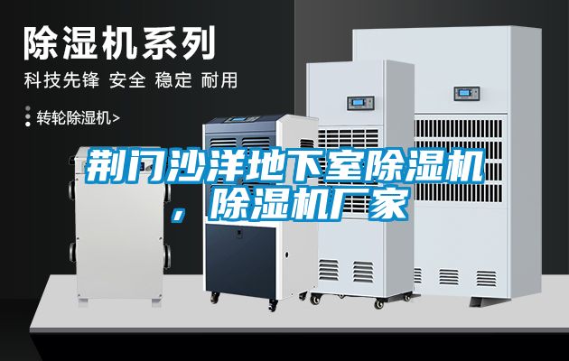 荊門沙洋地下室除濕機(jī),除濕機(jī)廠家