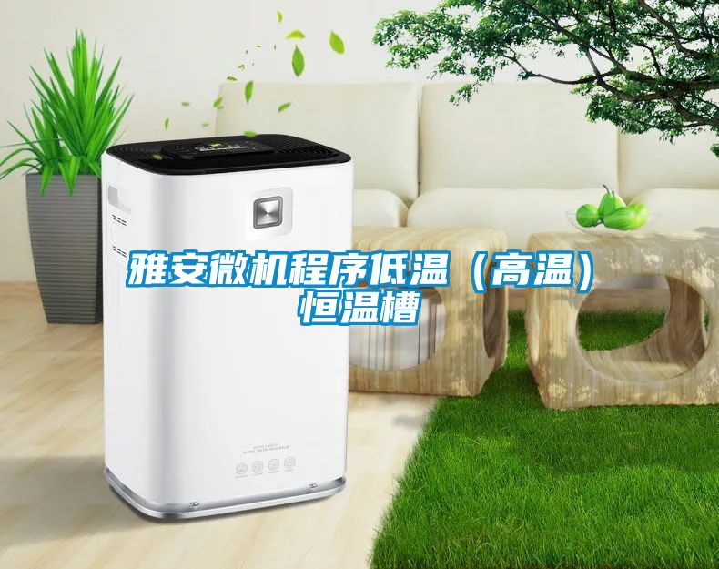 雅安微機程序低溫(高溫)恒溫槽