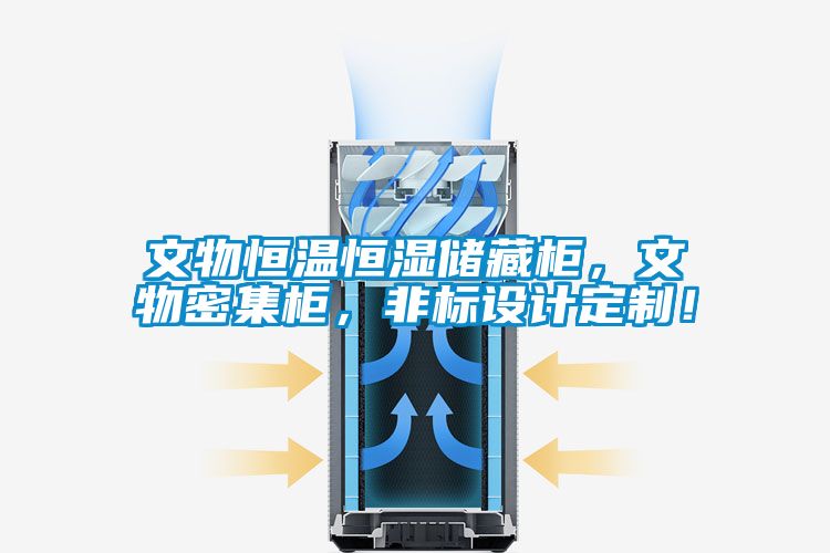 文物恒溫恒濕儲藏柜，文物密集柜，非標(biāo)設(shè)計(jì)定制！