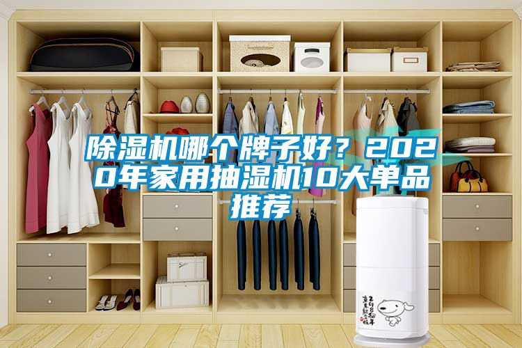 除濕機哪個牌子好？2020年家用抽濕機10大單品推薦
