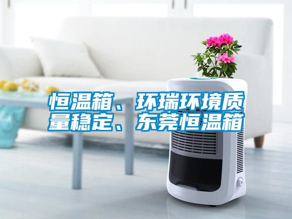 恒溫箱、環瑞環境質量穩定、東莞恒溫箱