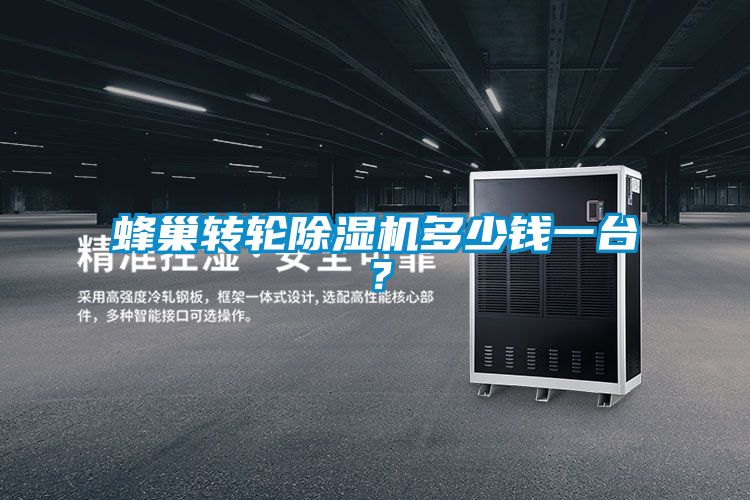蜂巢轉輪除濕機多少錢一臺?