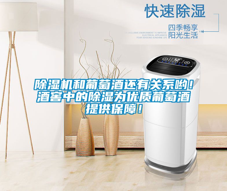除濕機和葡萄酒還有關系喲!酒窖中的除濕為優(yōu)質葡萄酒提供保障!